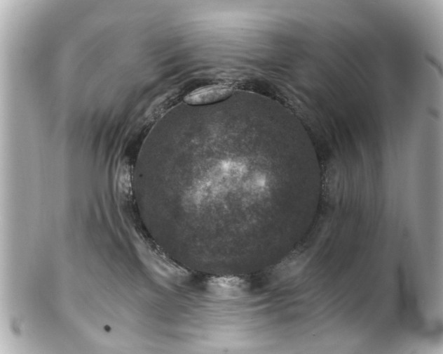 X0000100900137200807011229