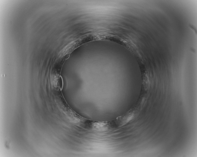 X0000100900139200807011229