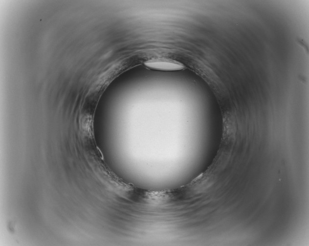 X0000100900141200807011229