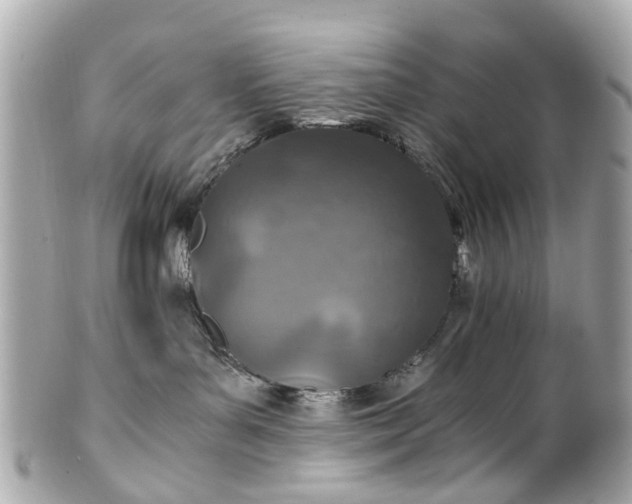 X0000100900143200807011229