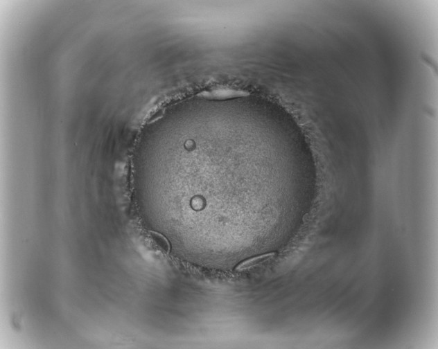 X0000100900144200807011229