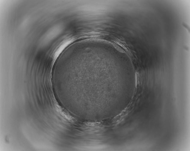 X0000100900147200807011228