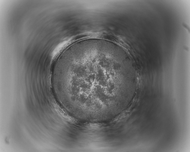 X0000100900149200807011228