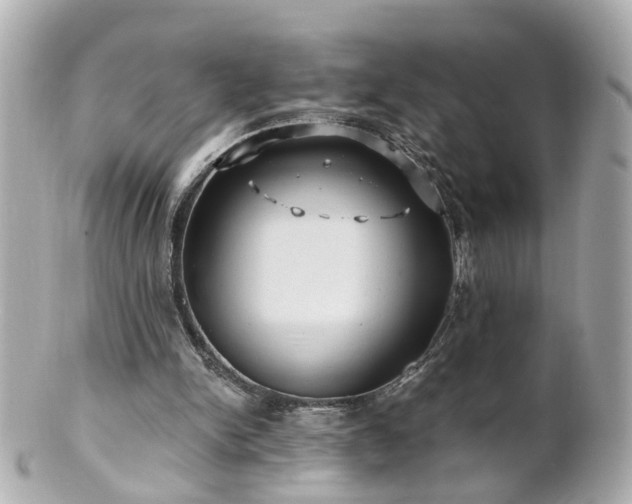 X0000100900150200807011228