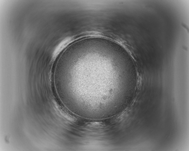 X0000100900151200807011228