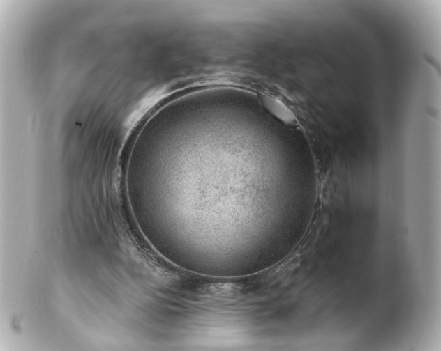 X0000100900152200807011228