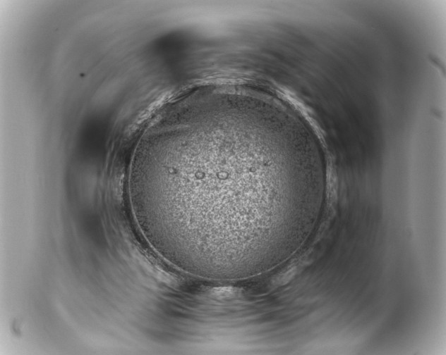 X0000100900153200807011228