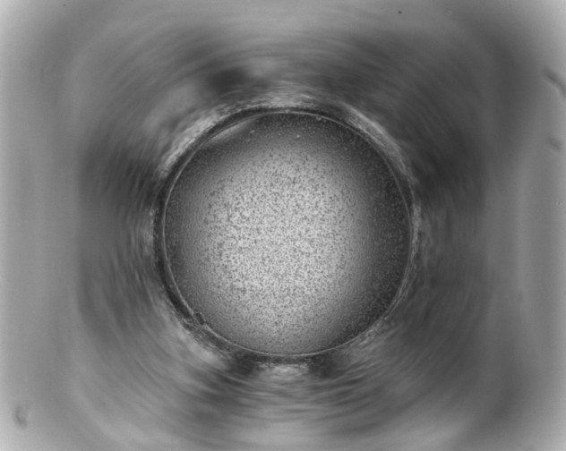 X0000100900155200807011228