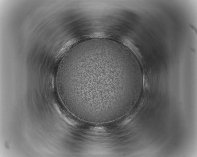 X0000100900157200807011228