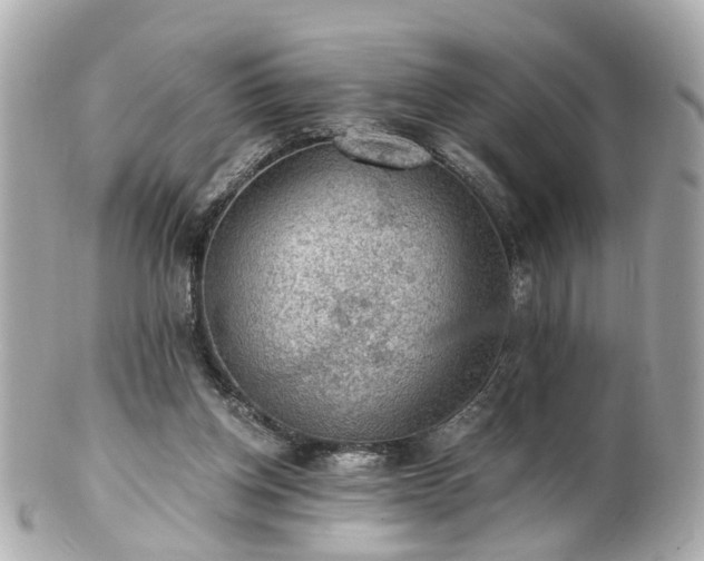 X0000100900158200807011228