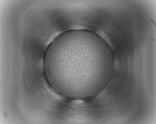 X0000100900159200807011229