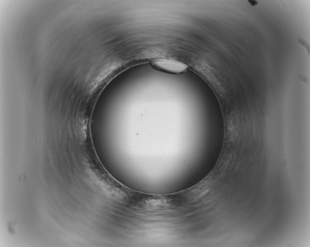 X0000100900160200807011229