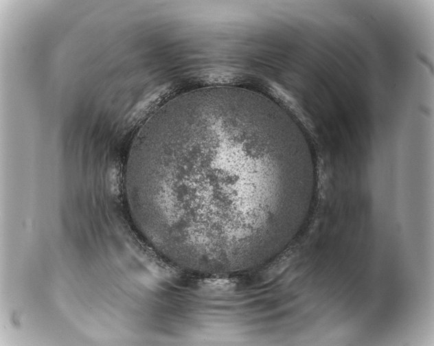 X0000100900161200807011229