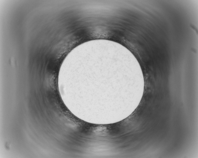 X0000100900162200807011229