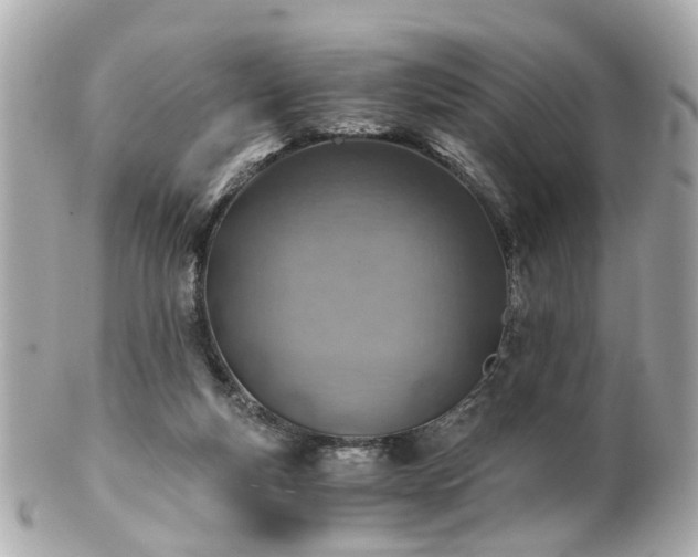 X0000100900163200807011229