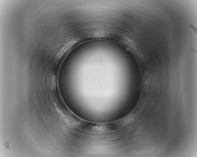 X0000100900164200807011229