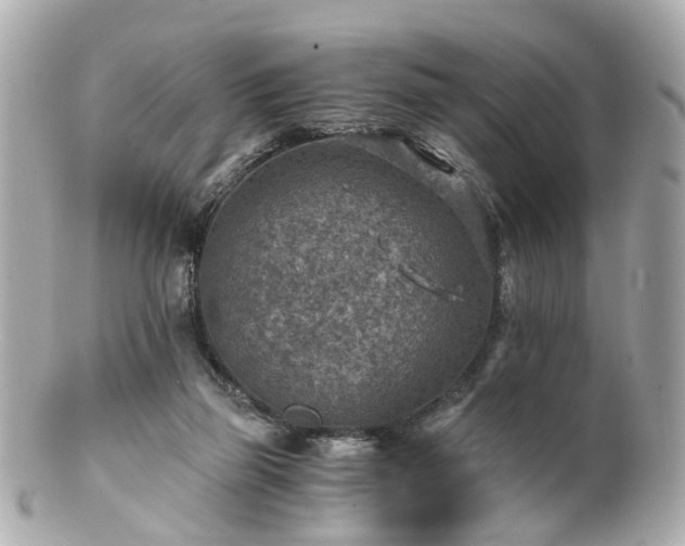 X0000100900165200807011229