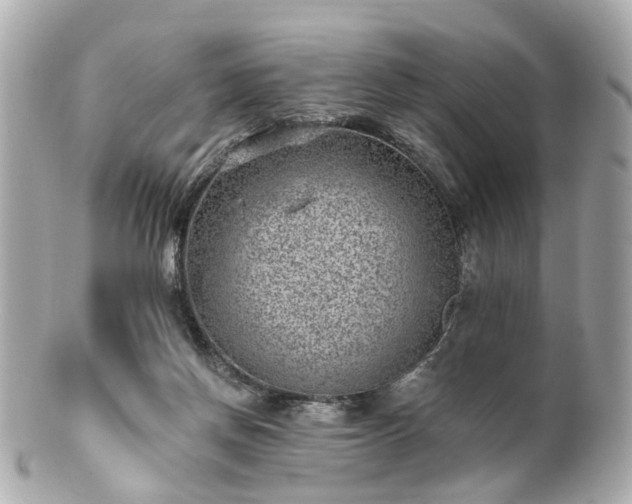 X0000100900166200807011229