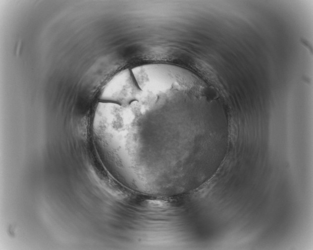 X0000100900167200807011229