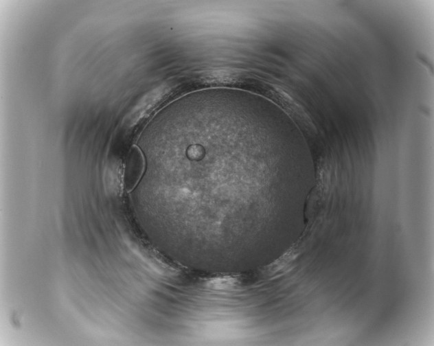 X0000100900168200807011229