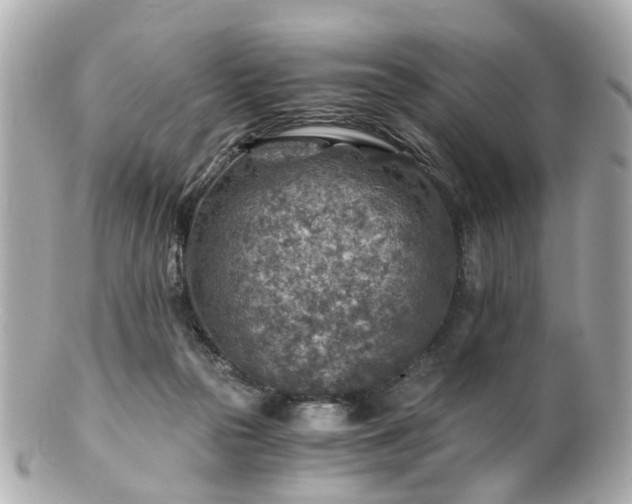 X0000100900169200807011229