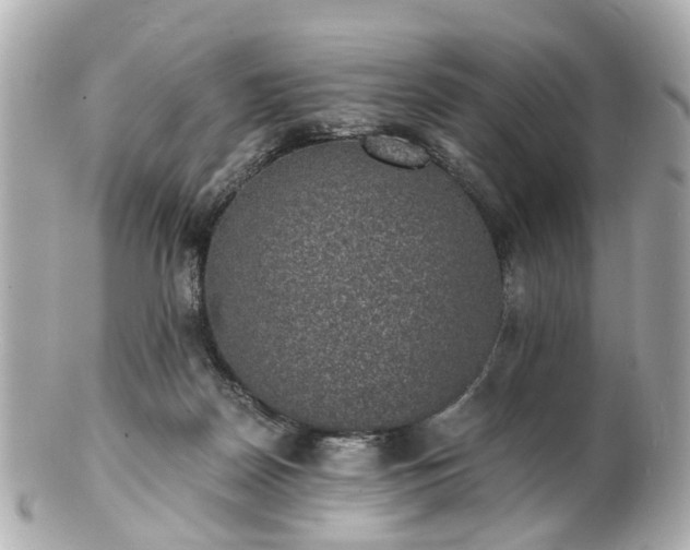 X0000100900170200807011229