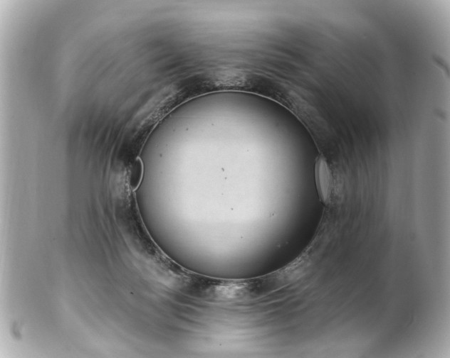 X0000100900172200807011229