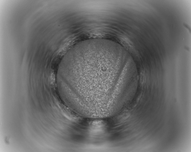 X0000100900173200807011229