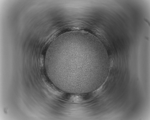 X0000100900174200807011229