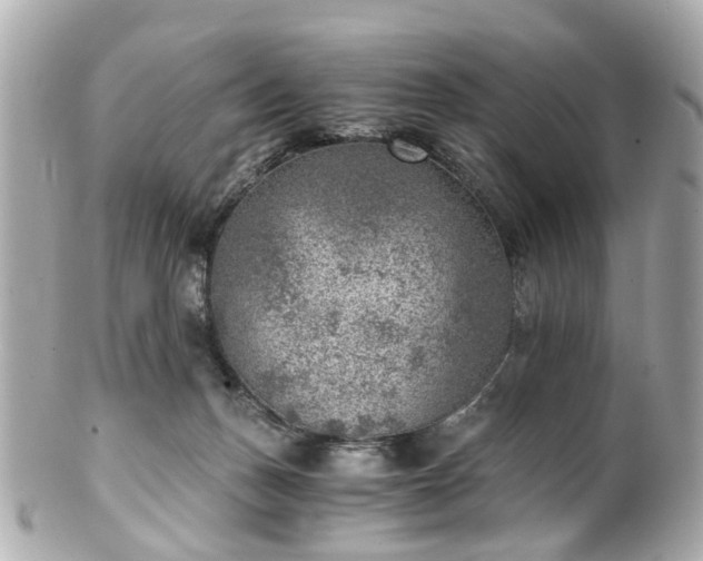 X0000100900175200807011229