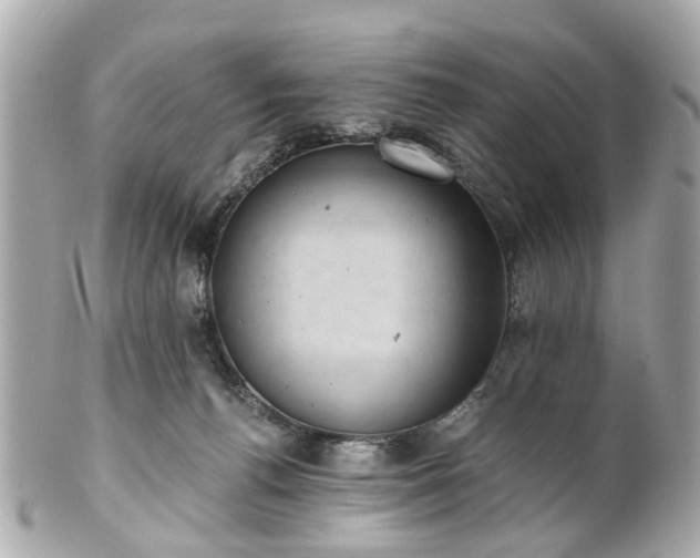 X0000100900176200807011229