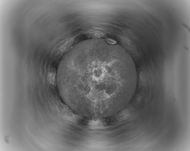 X0000100900177200807011229