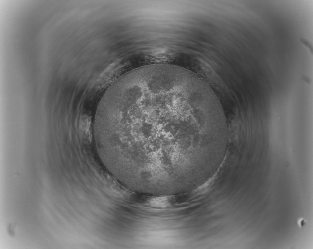 X0000100900178200807011229