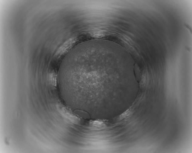 X0000100900180200807011229