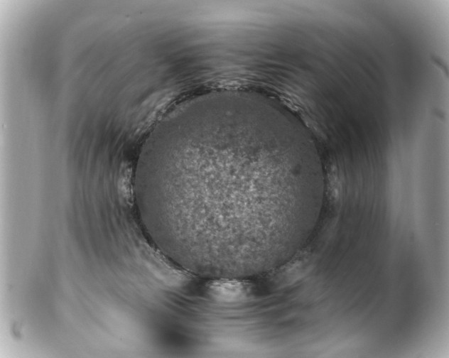 X0000100900181200807011229