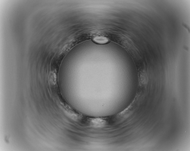 X0000100900183200807011229