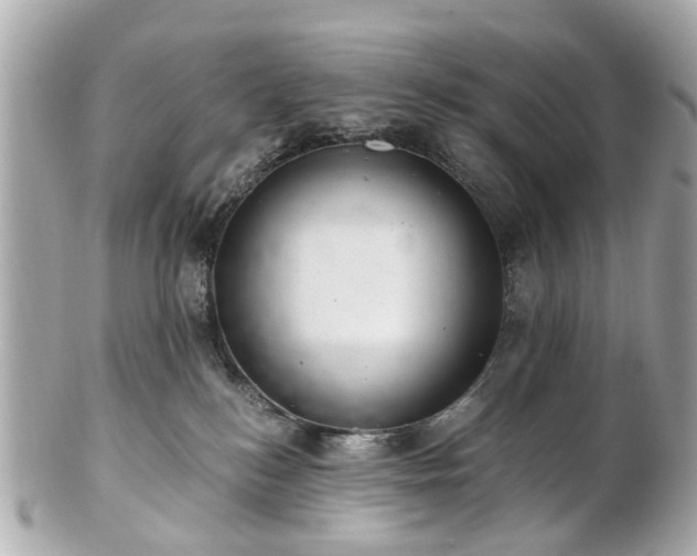 X0000100900184200807011229