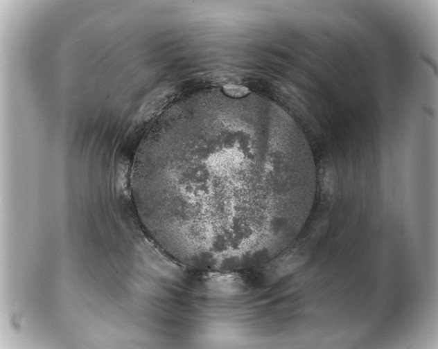 X0000100900185200807011229