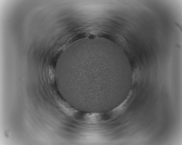 X0000100900186200807011229