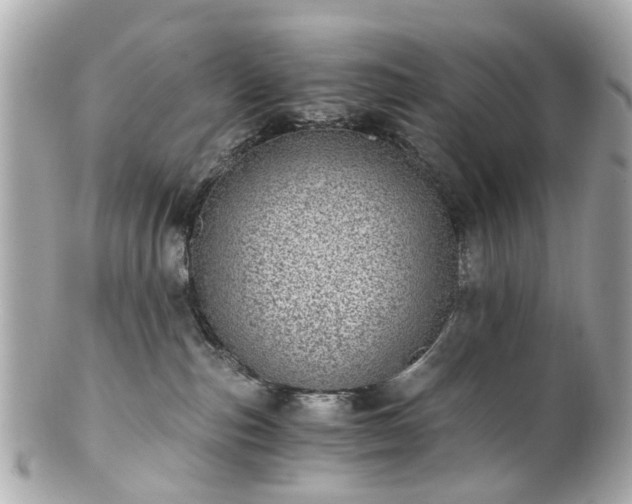 X0000100900187200807011229