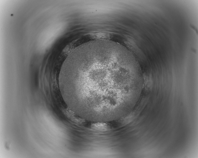 X0000100900189200807011229