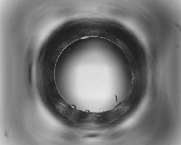 X0000100900190200807011229