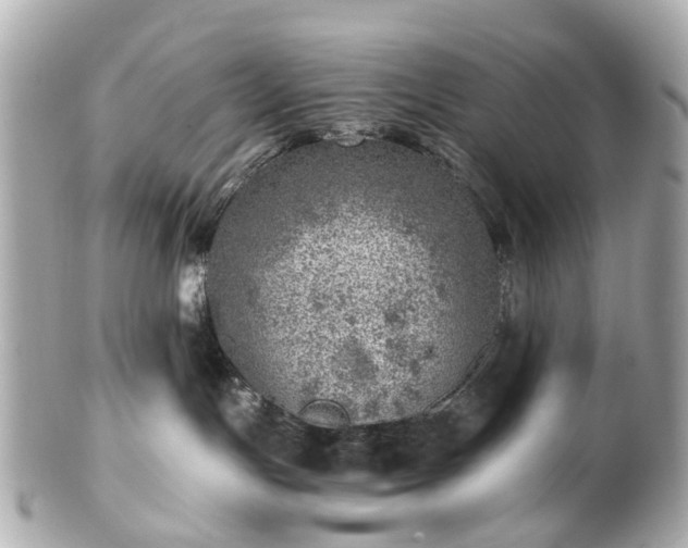 X0000100900191200807011229