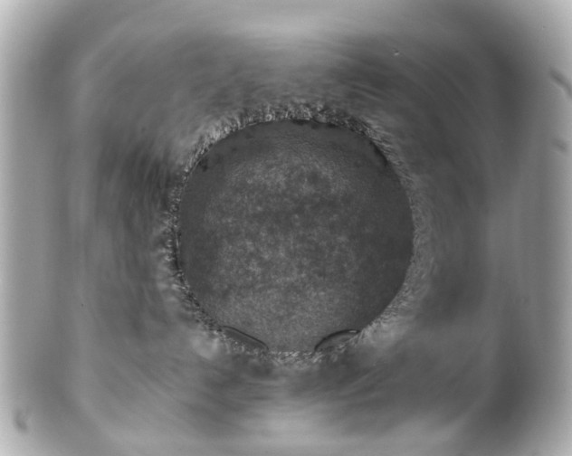 X0000100900192200807011229