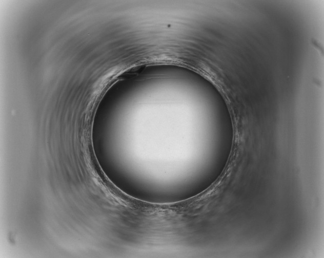 X0000100900193200807011228