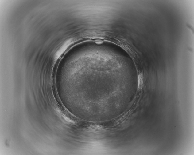 X0000100900195200807011228