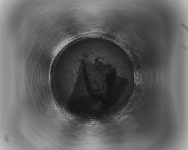 X0000100900196200807011228