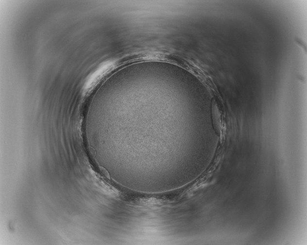 X0000100900197200807011228