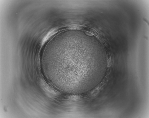 X0000100900198200807011228