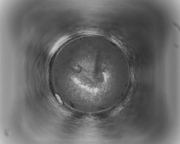 X0000100900199200807011228